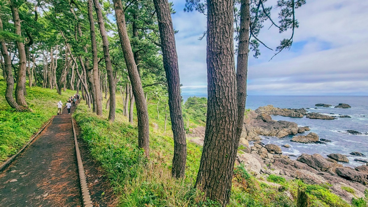 Hiking along the Tanesashi Coast, Tohoku
